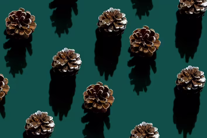 Змінні у Ruby: @, @@ та class instance variable